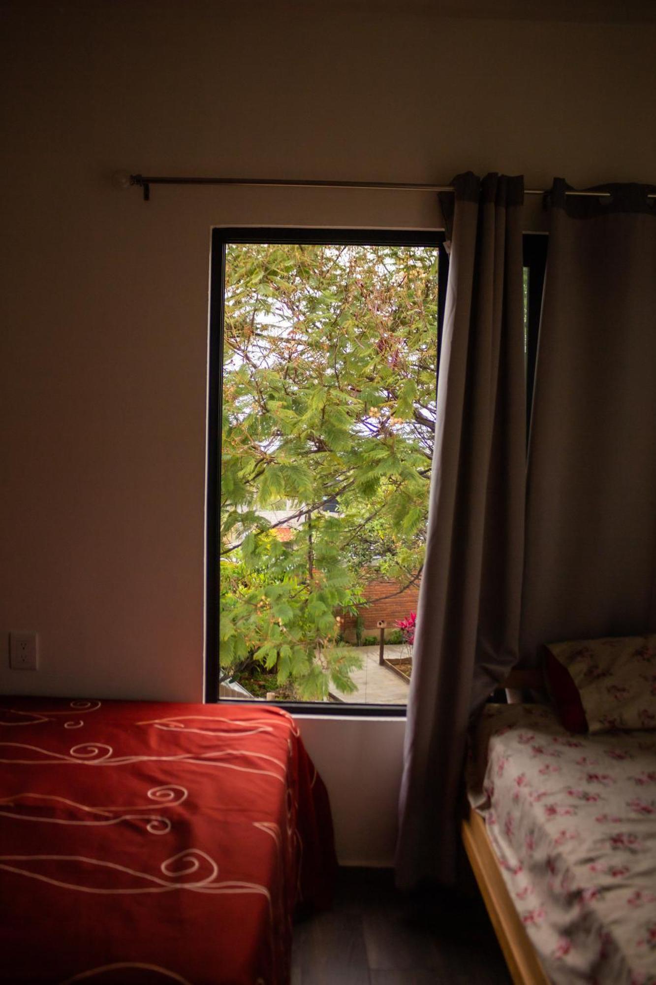 Отель Casa Biznaga Oaxaca Экстерьер фото